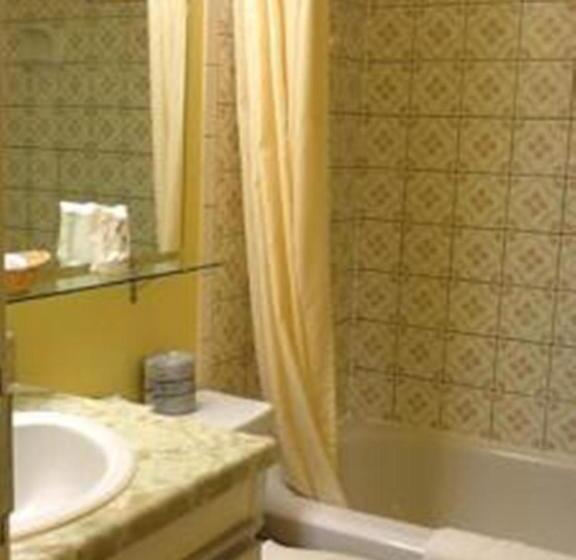 酒店 Auberge Mountain View Inn