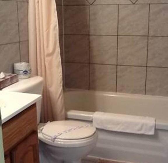 酒店 Auberge Mountain View Inn