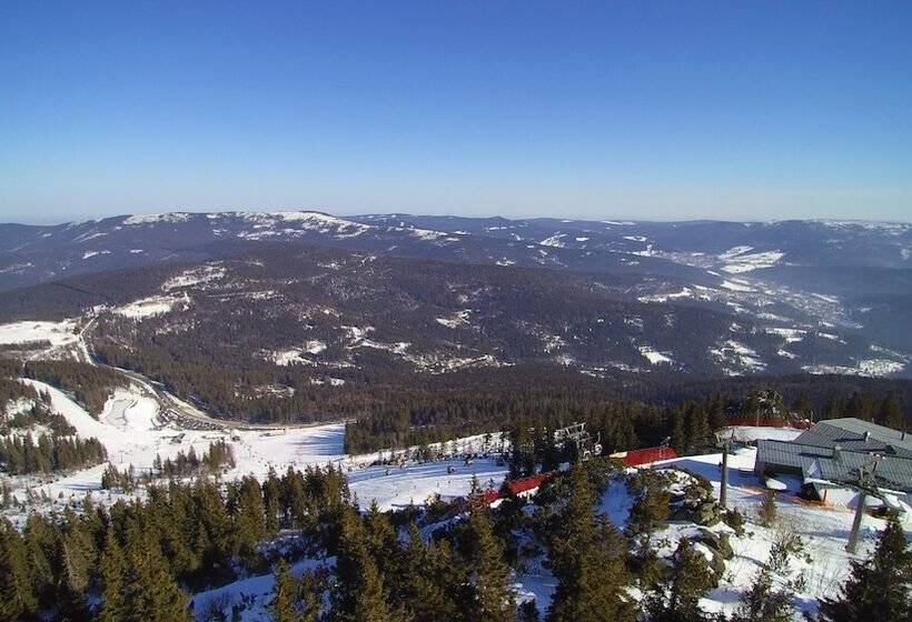 ホテル Bayerischer Wald