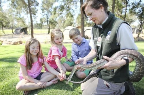 فندق Billabong Camp At Taronga Western Plains