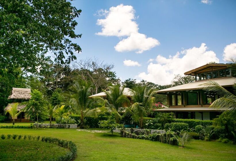 هتل Blue Osa Beach Resort & Spa