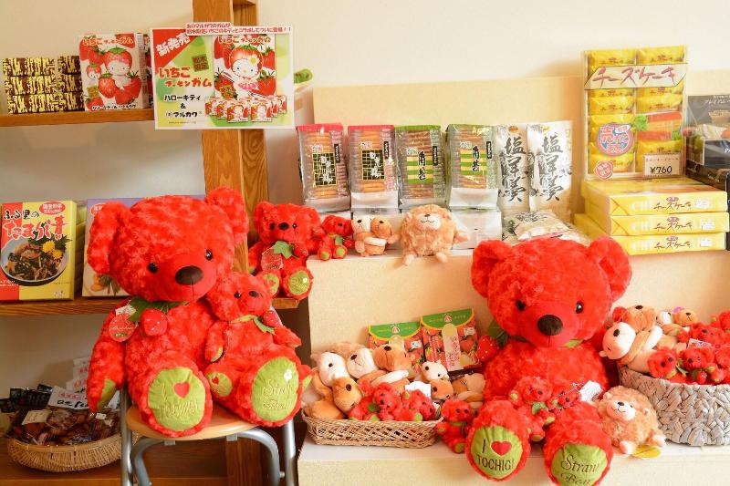 فندق Casual Euro