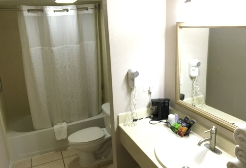 בית מלון כפרי Days Inn & Suites By Wyndham Tampa   Ybor City