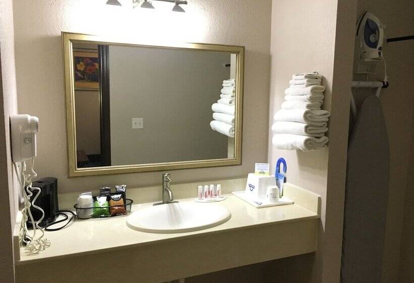 בית מלון כפרי Days Inn & Suites By Wyndham Tampa   Ybor City