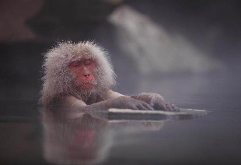 ホテル Onyado Hishiya Torazo