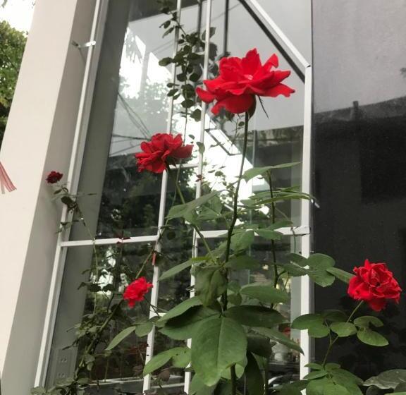 هتل Hue Four Seasons