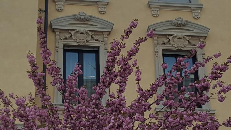 هتل La Nuova Rotaia