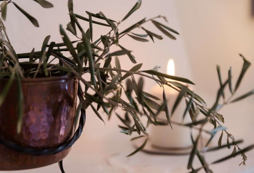 Отель Mas Des Romarins, The Originals Relais