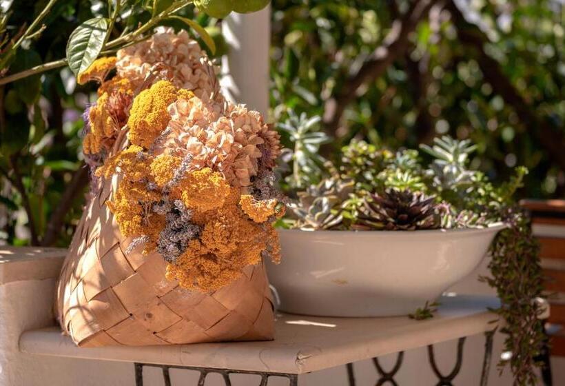 בית מלון כפרי Pansion Marjan