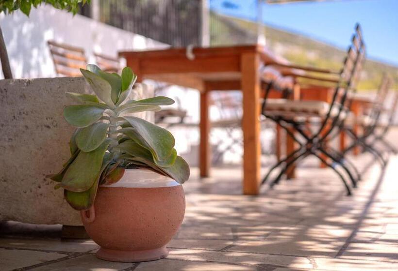 בית מלון כפרי Pansion Marjan