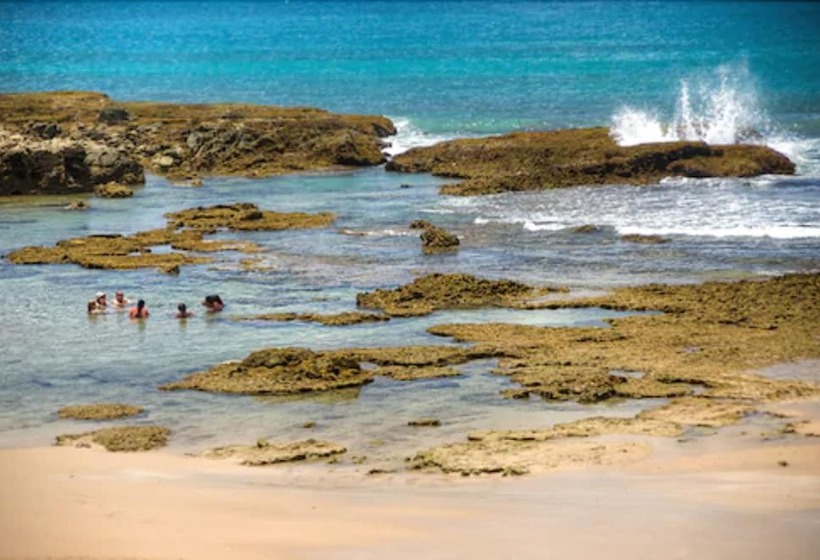 Отель Pousada Bahia Bacana
