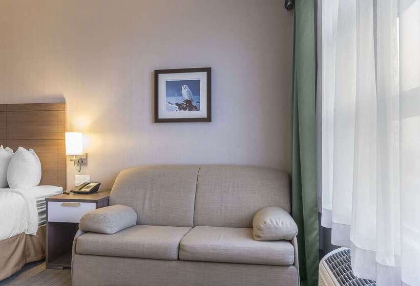 Отель Quality Inn Sept Iles