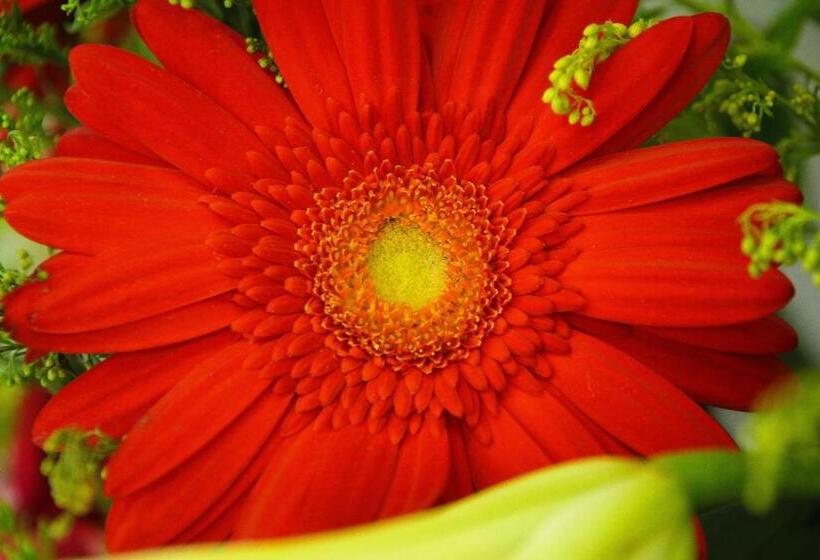 ホテル Rasah Seremban