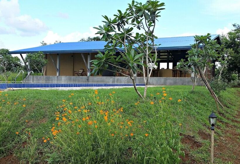 호텔 Birdwing Sigiriya