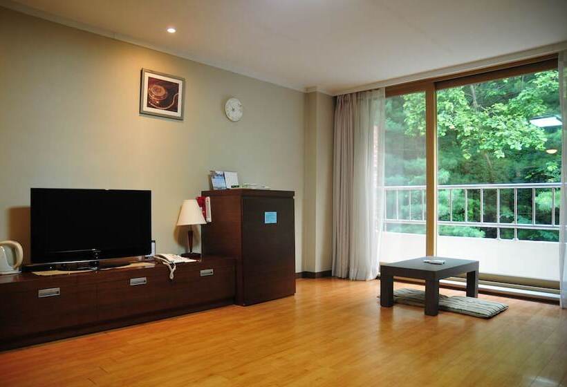 Отель Chungju Suanbo Park