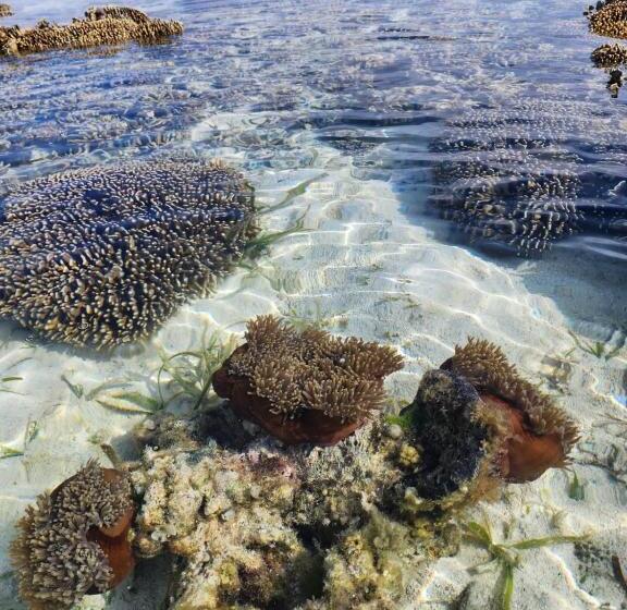 Sylvia Hotel & Resort Komodo