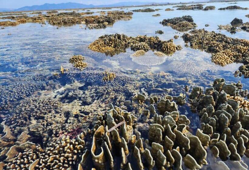 Sylvia Hotel & Resort Komodo