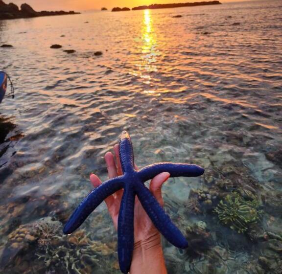 Sylvia Hotel & Resort Komodo