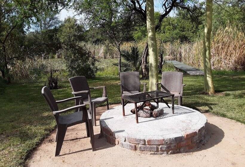 בית מלון כפרי The Bush Pub & Inn