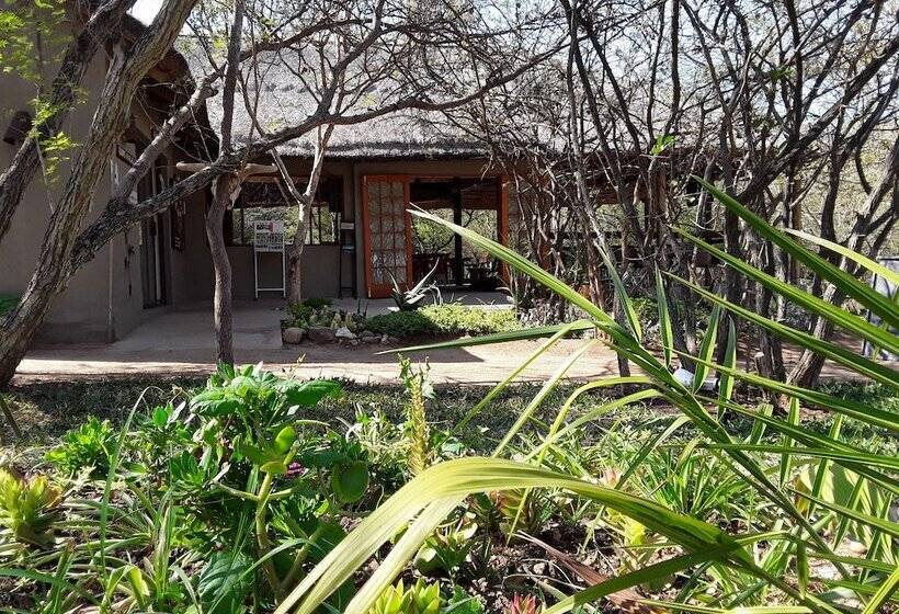 בית מלון כפרי The Bush Pub & Inn