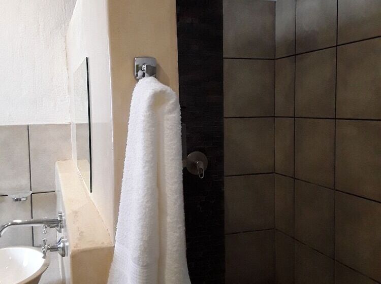 בית מלון כפרי The Bush Pub & Inn