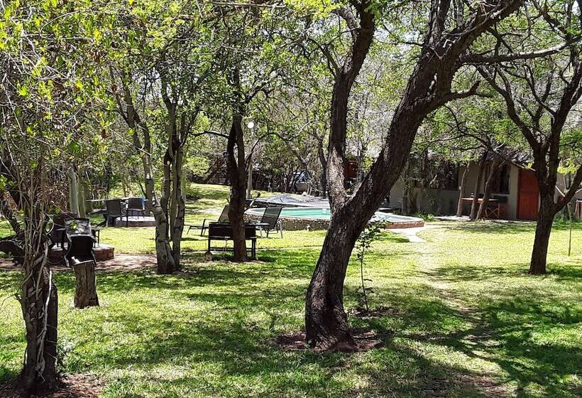 בית מלון כפרי The Bush Pub & Inn