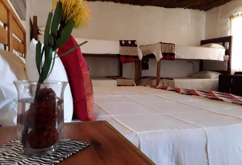 בית מלון כפרי The Bush Pub & Inn