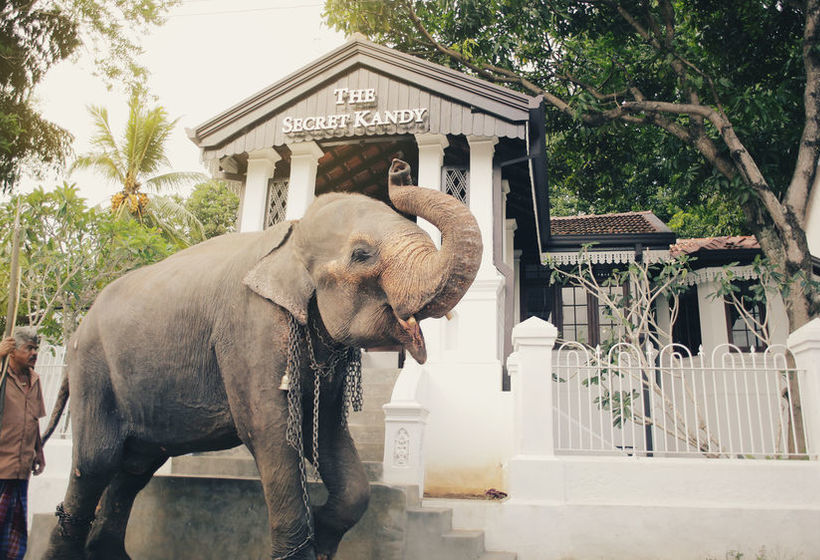 Отель The Secret Kandy