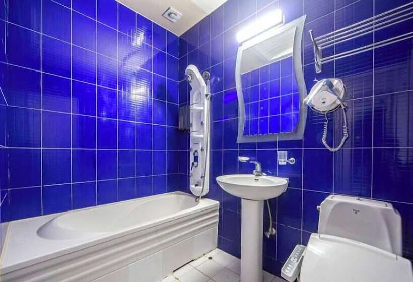 酒店 Tourist  Jeonju