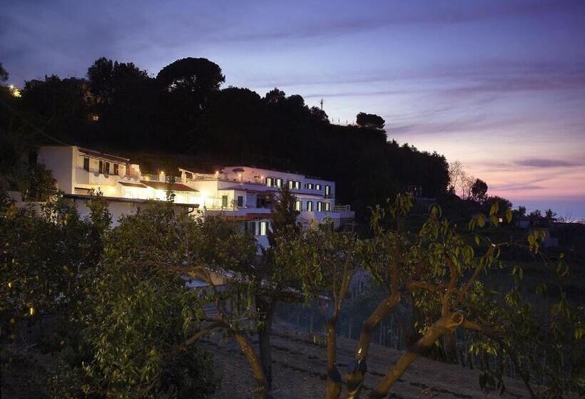 ホテル Villa D'orta