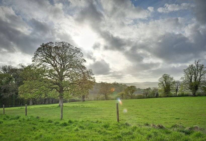 Kelly House Country B&b