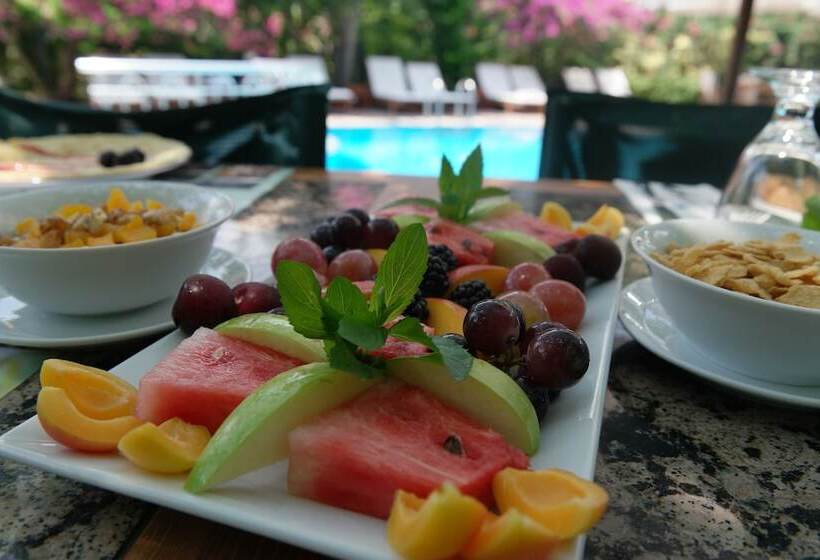 Mr. Dim Exclusive Apart