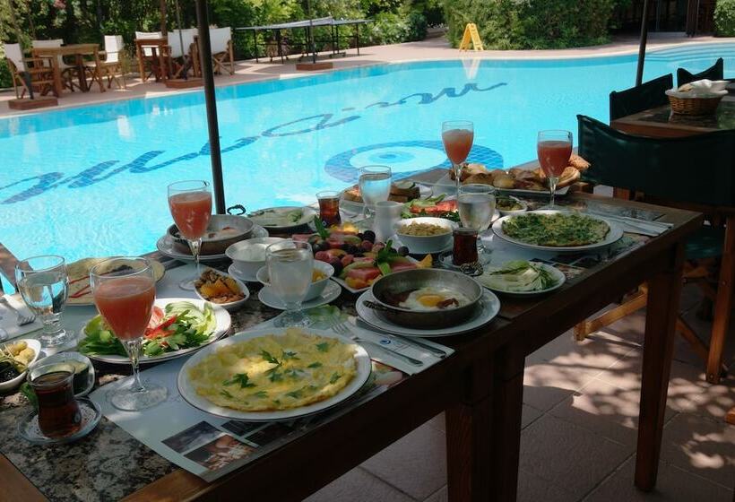 Mr. Dim Exclusive Apart