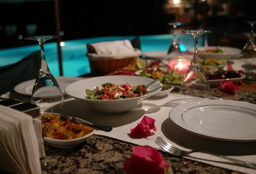 Mr. Dim Exclusive Apart