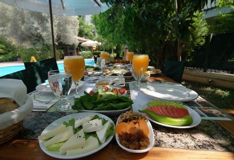 Mr. Dim Exclusive Apart