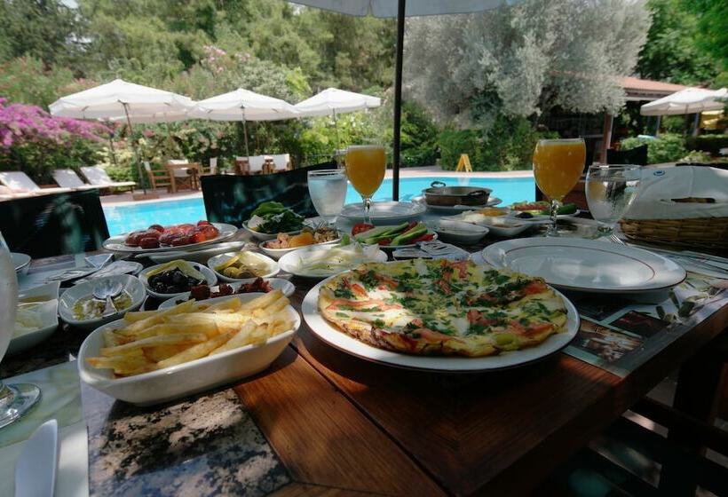 Mr. Dim Exclusive Apart