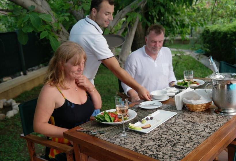 Mr. Dim Exclusive Apart