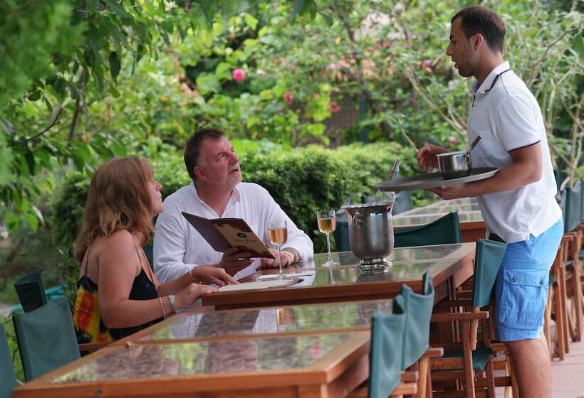 Mr. Dim Exclusive Apart