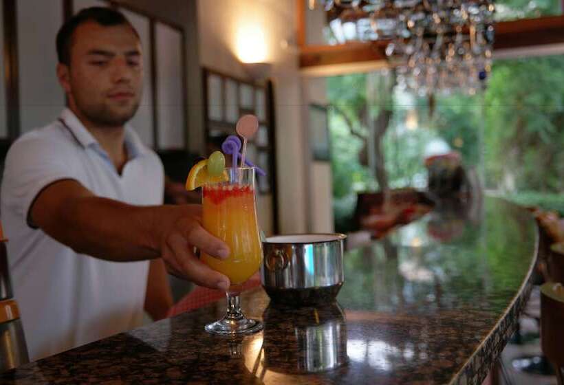 Mr. Dim Exclusive Apart