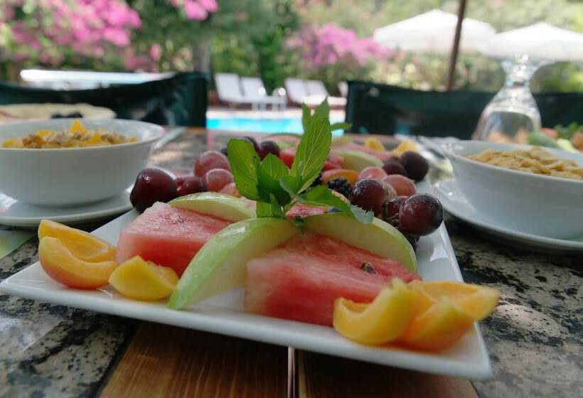 Mr. Dim Exclusive Apart