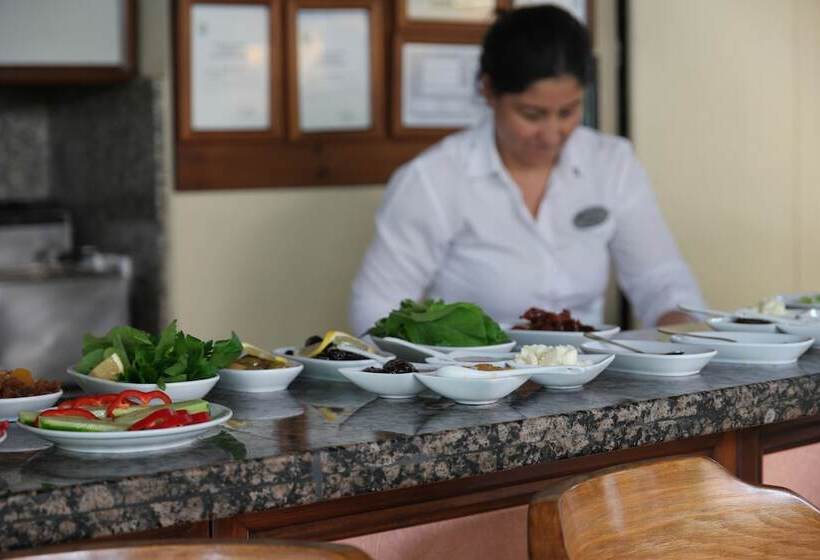 Mr. Dim Exclusive Apart