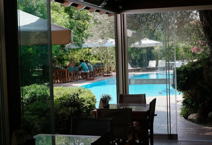 Mr. Dim Exclusive Apart