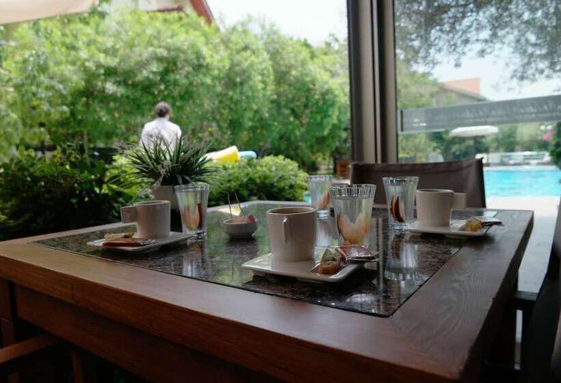 Mr. Dim Exclusive Apart