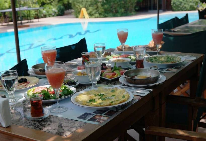 Mr. Dim Exclusive Apart