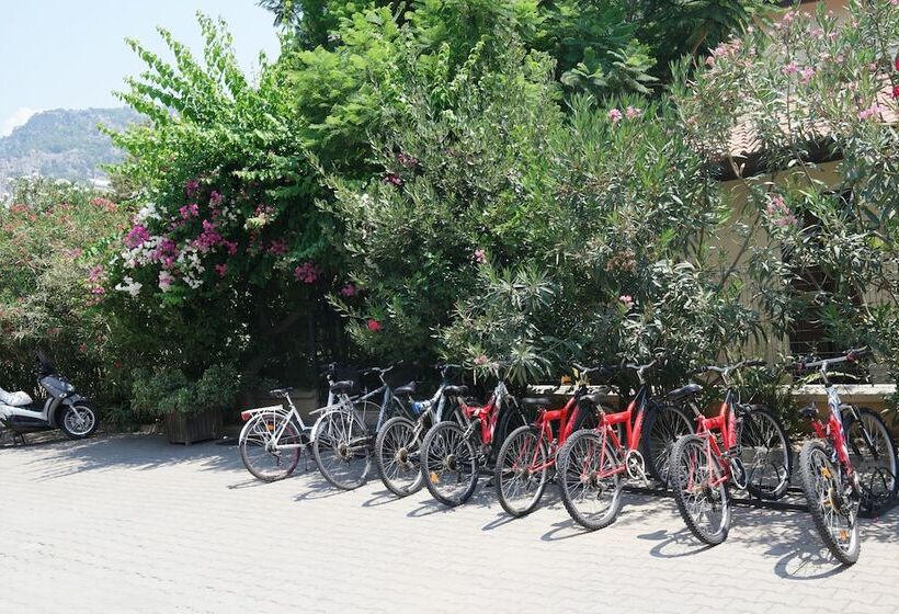 Mr. Dim Exclusive Apart