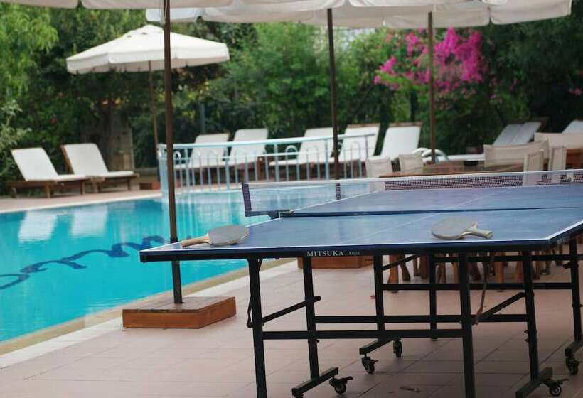 Mr. Dim Exclusive Apart