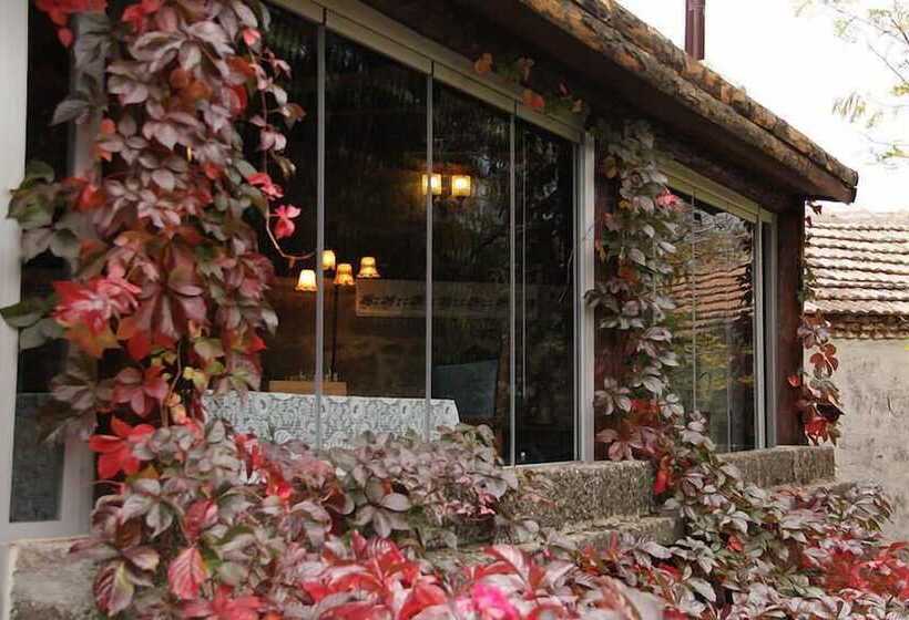 פנסיון Assos Nar Konak