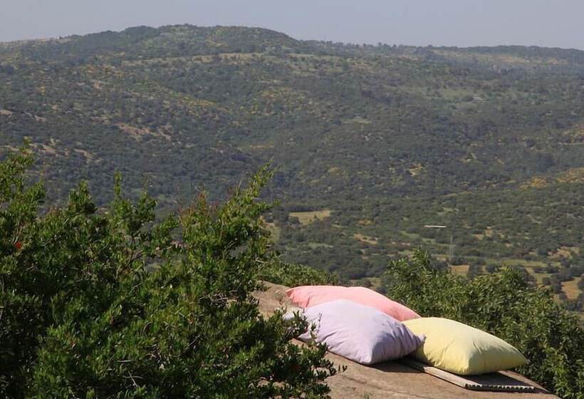 פנסיון Assos Nar Konak