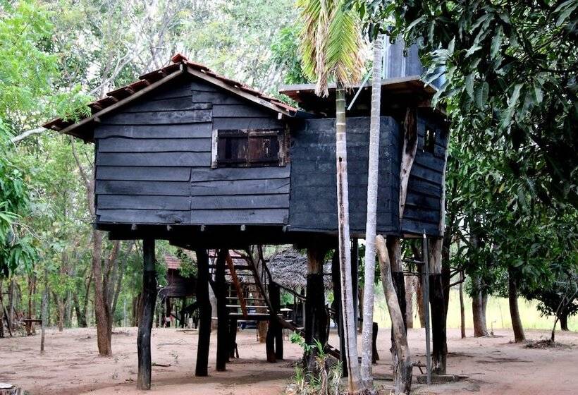 膳宿费 Eagle S Wings Guest House