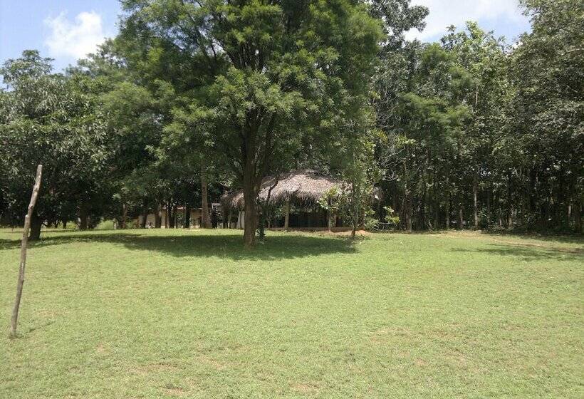 膳宿费 Eagle S Wings Guest House